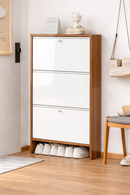 Armário de sapatos 3 portas